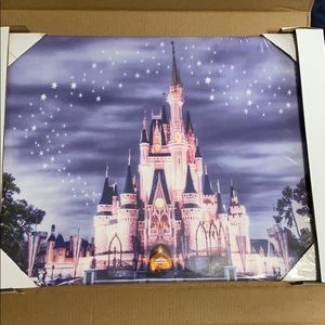 Disneyland castle picture. Brand new in box